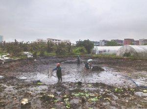 长乐河道鱼塘清淤